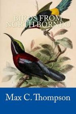 Birds from North Borneo